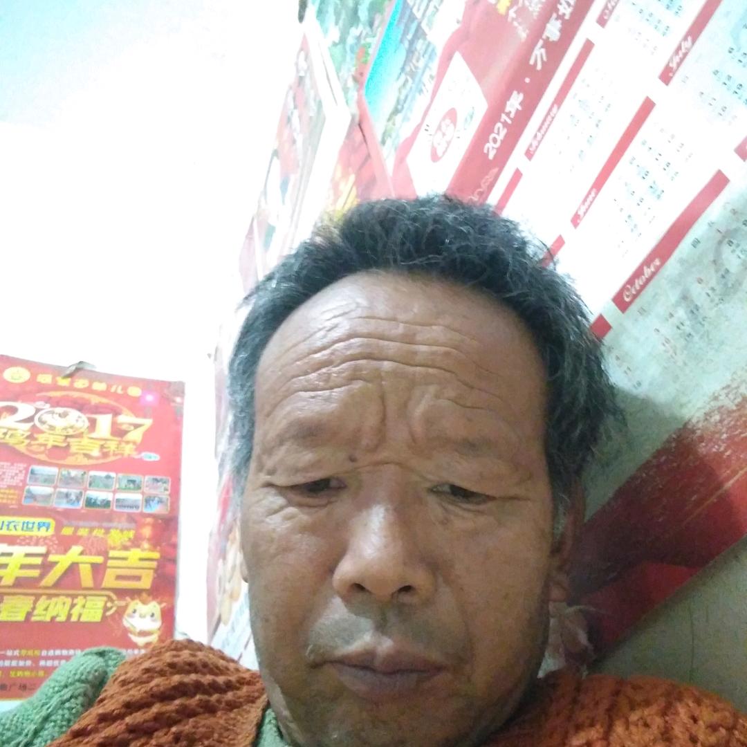 四季平安