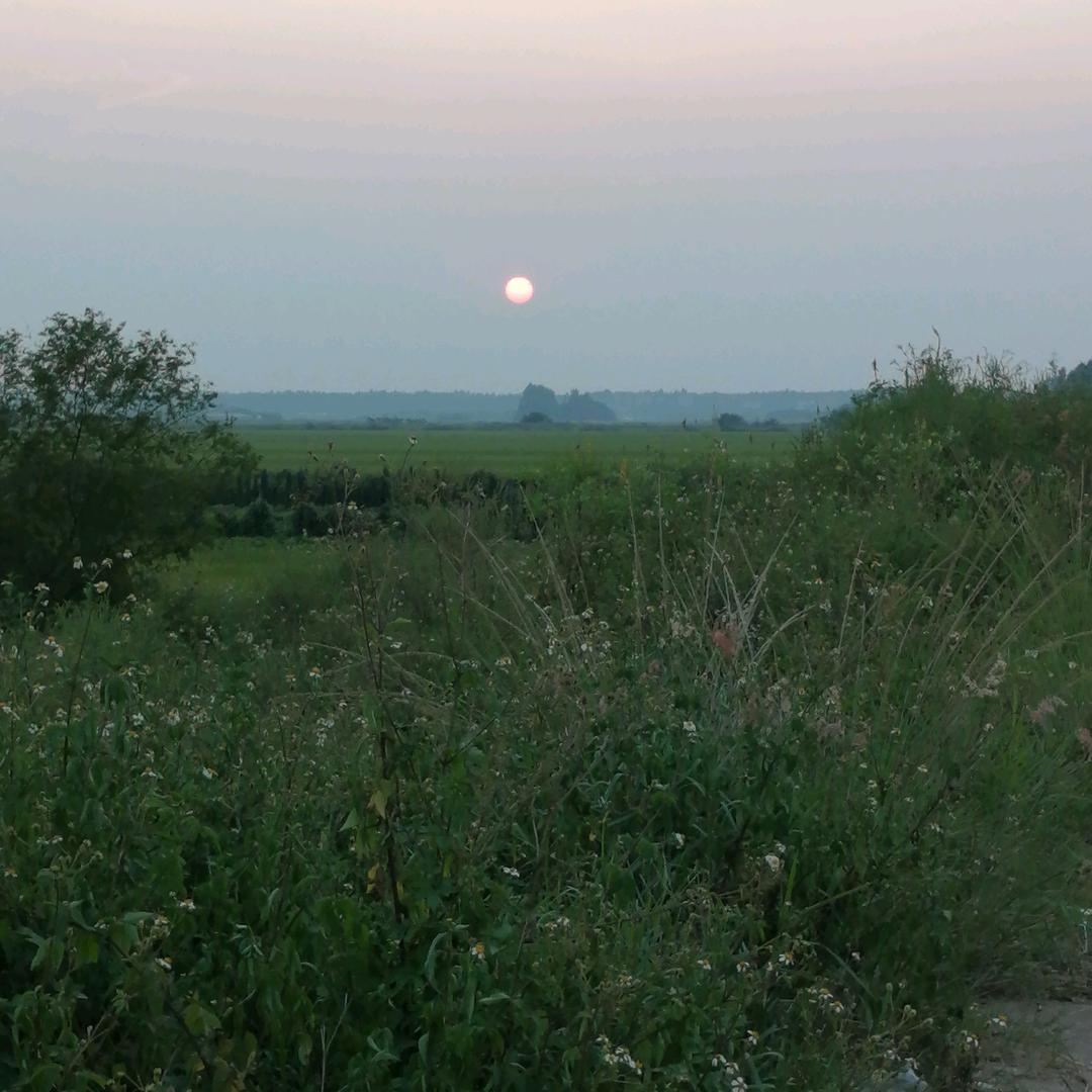 踏浪