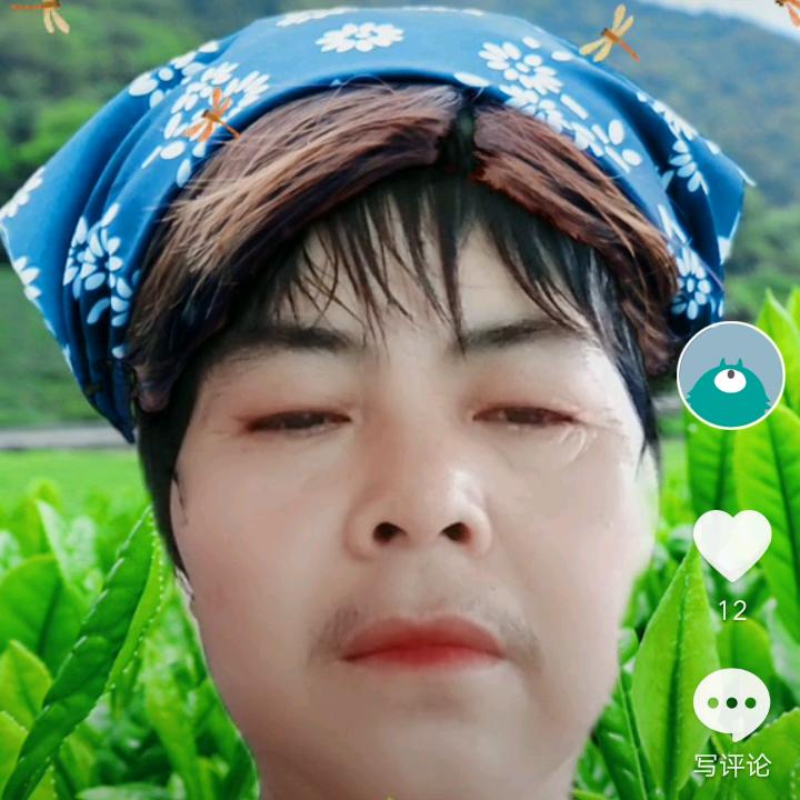 玫瑰花