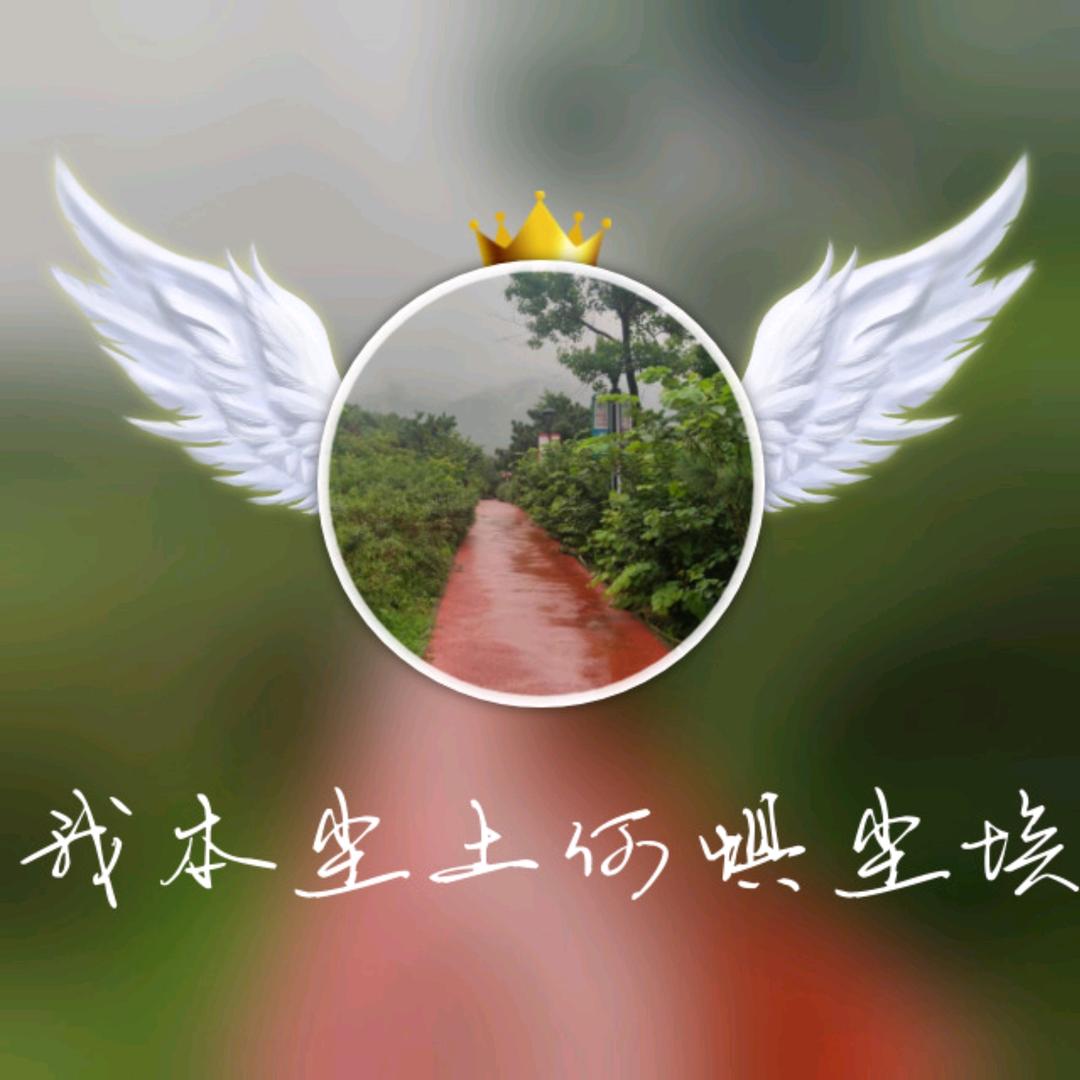 我本尘土   何惧尘埃！！！