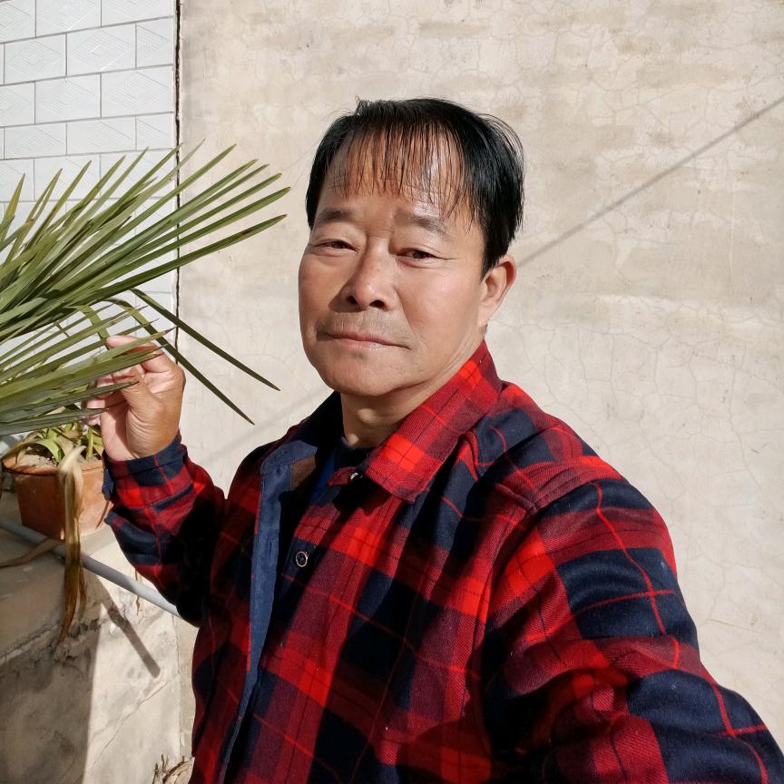 自由人