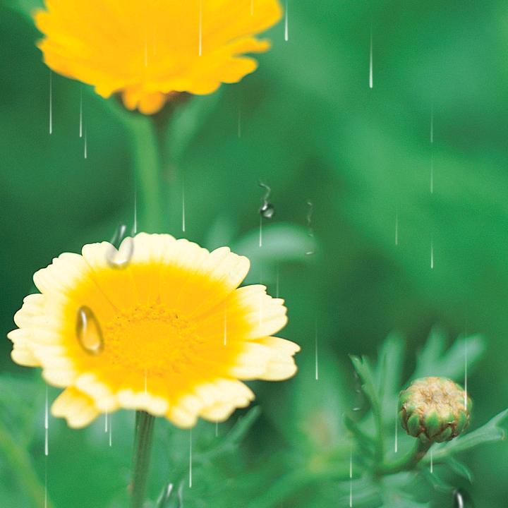 蓝天😊