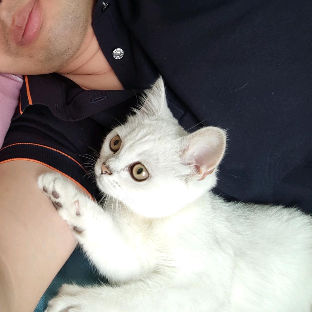 椰子姐姐家的咖啡师