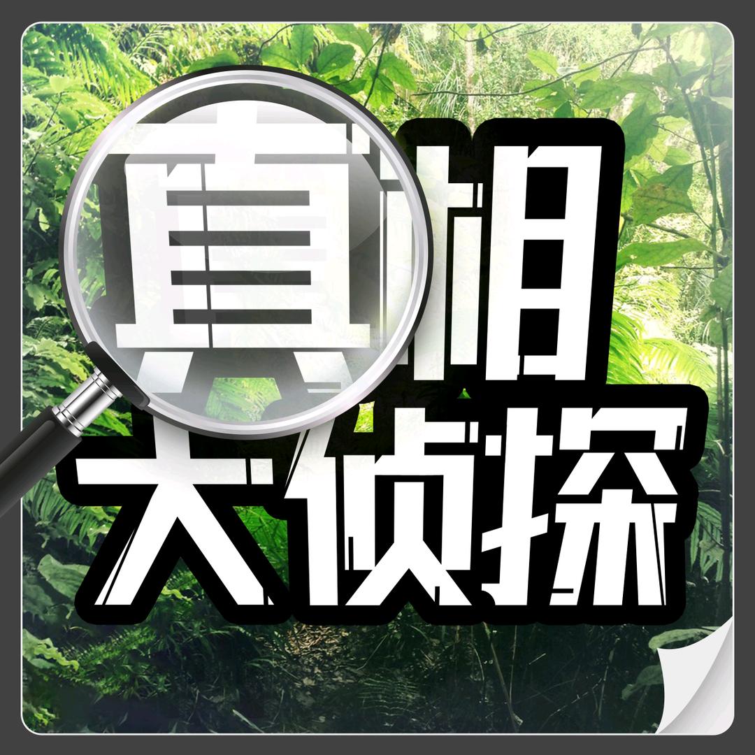 真相大侦探