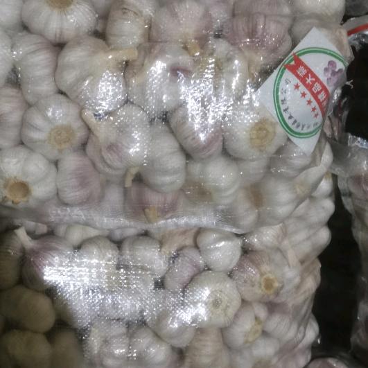 大闯食品（冷库）