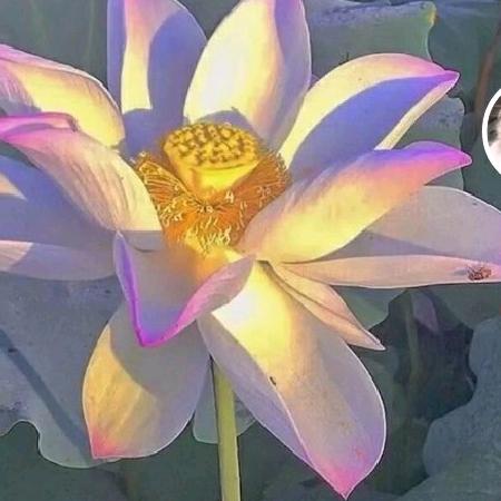 心想事成