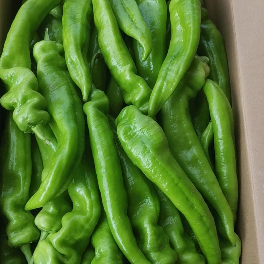 小吴精品蔬菜批发。