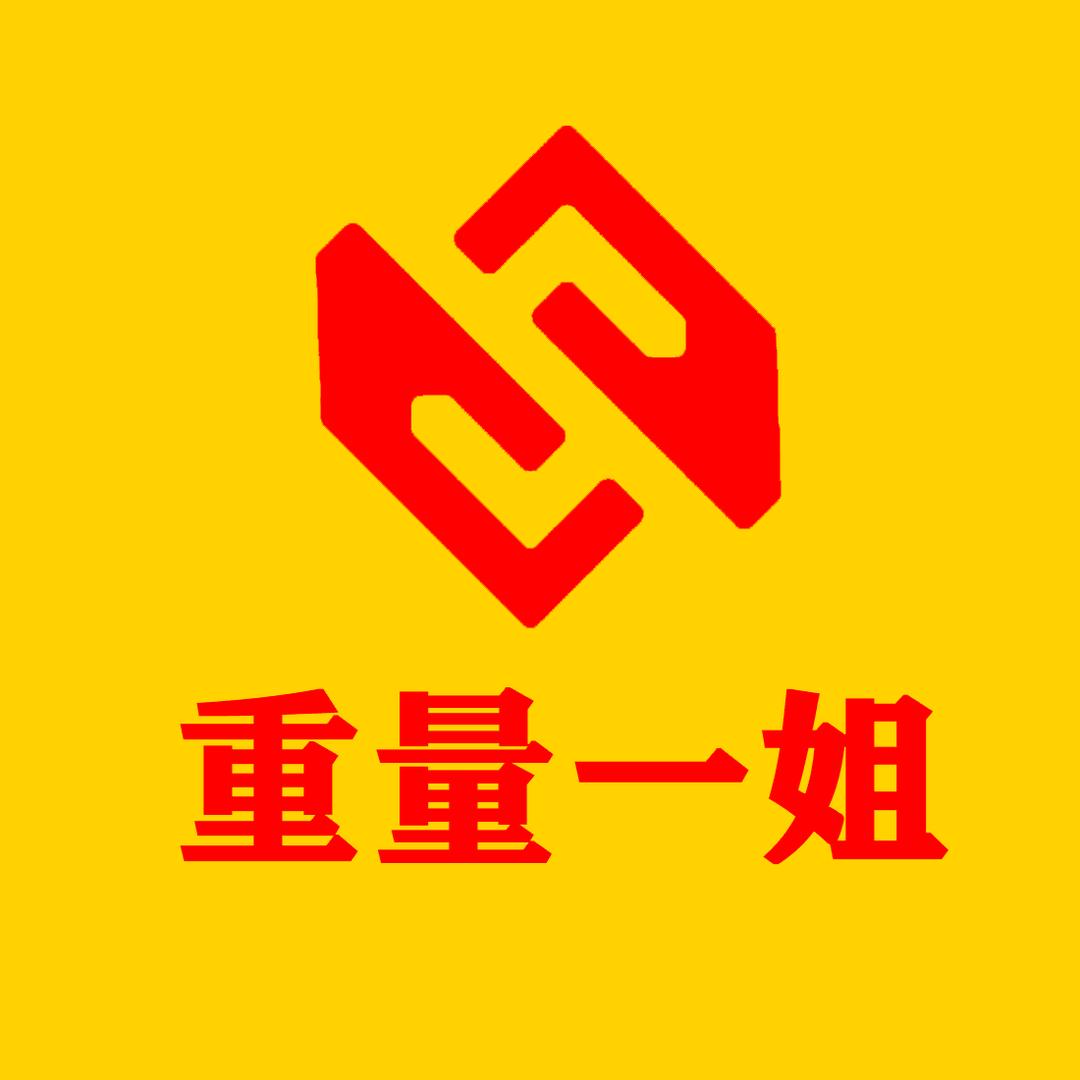 轴重仪 传感器 电子秤