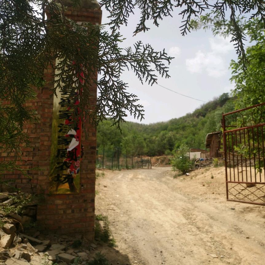 汾西县崔家洼农场