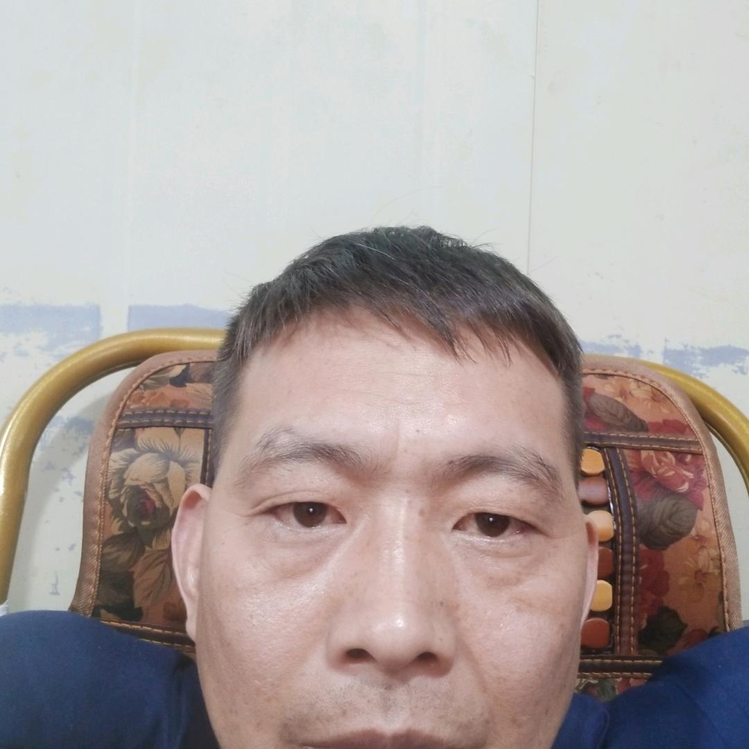 会飞的狼
