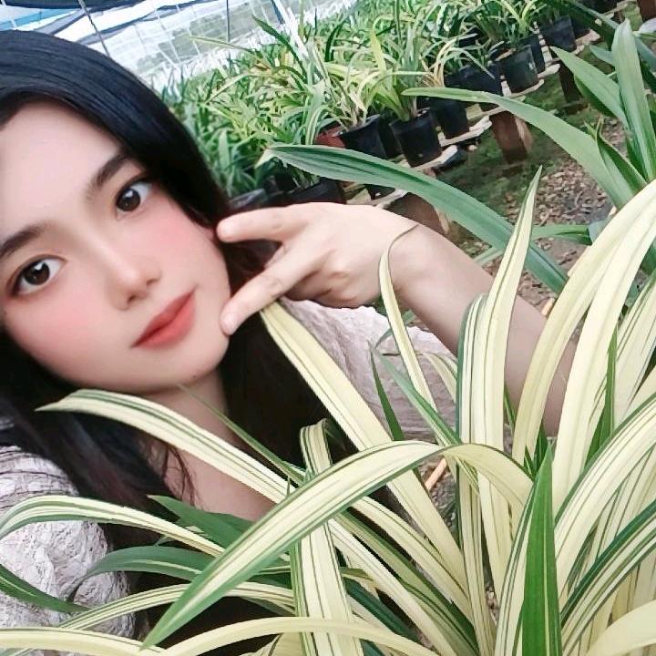 爱尚兰花兰业