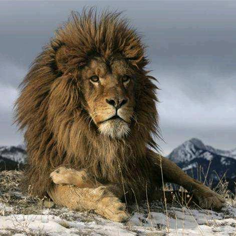 信仰在空中飘扬