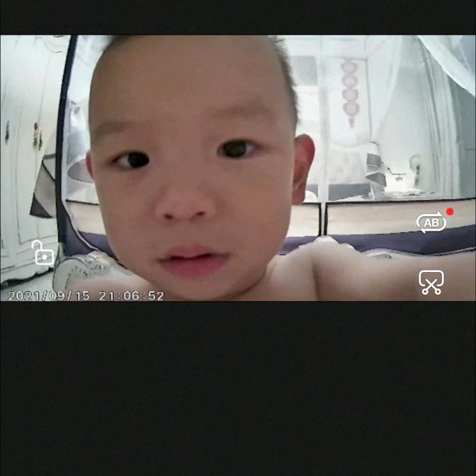 冰晶龙毛