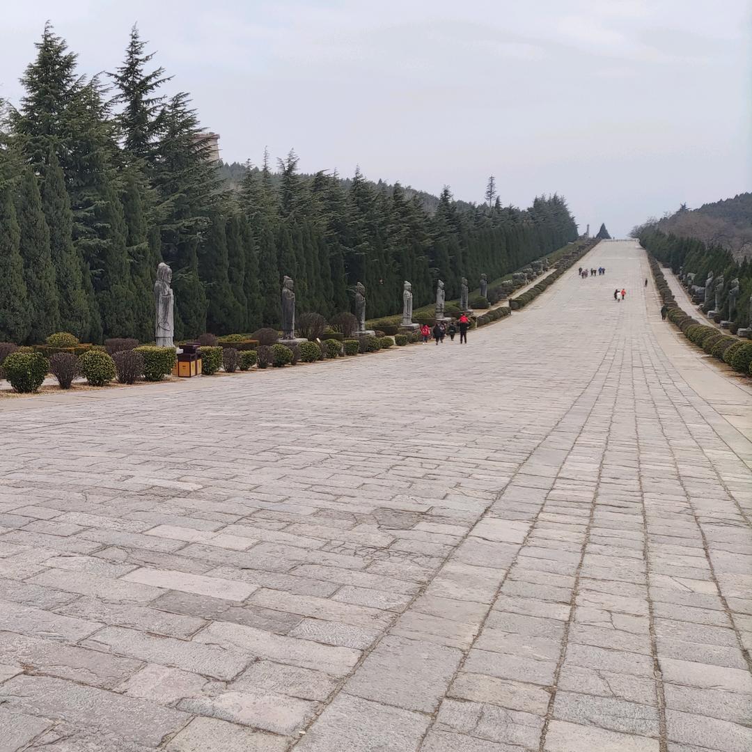 飞洋