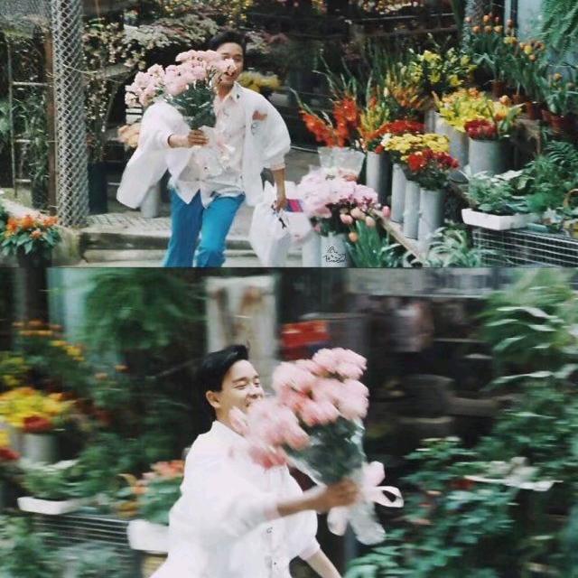 寒鸦鴉