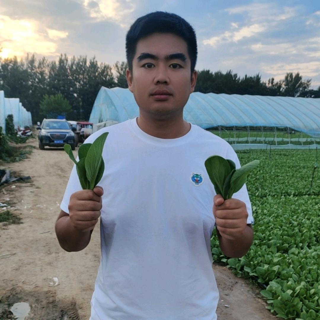 青菜哥 助力家乡农产品