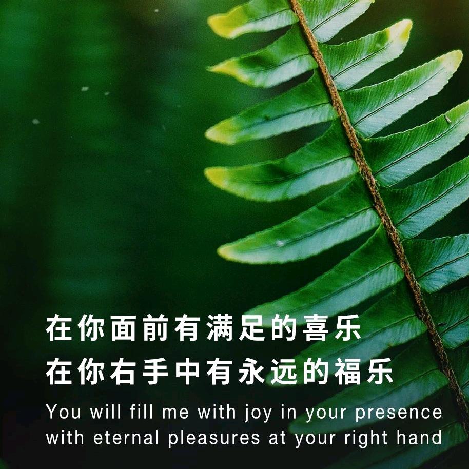 小新佳美，