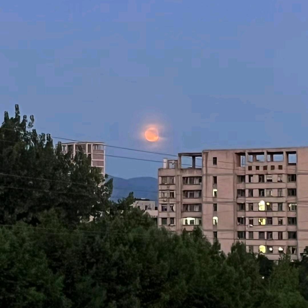 神奇露露