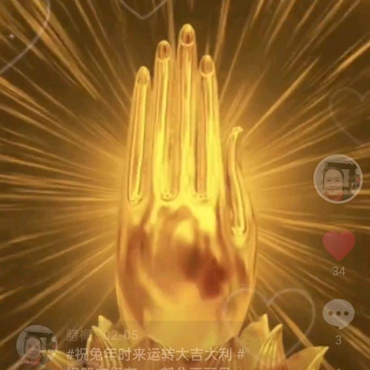 腊梅