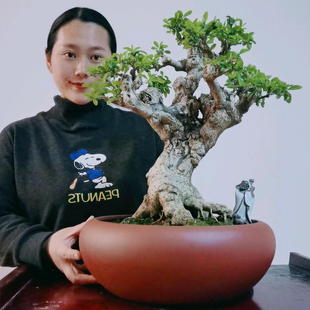 青青微型盆景园艺