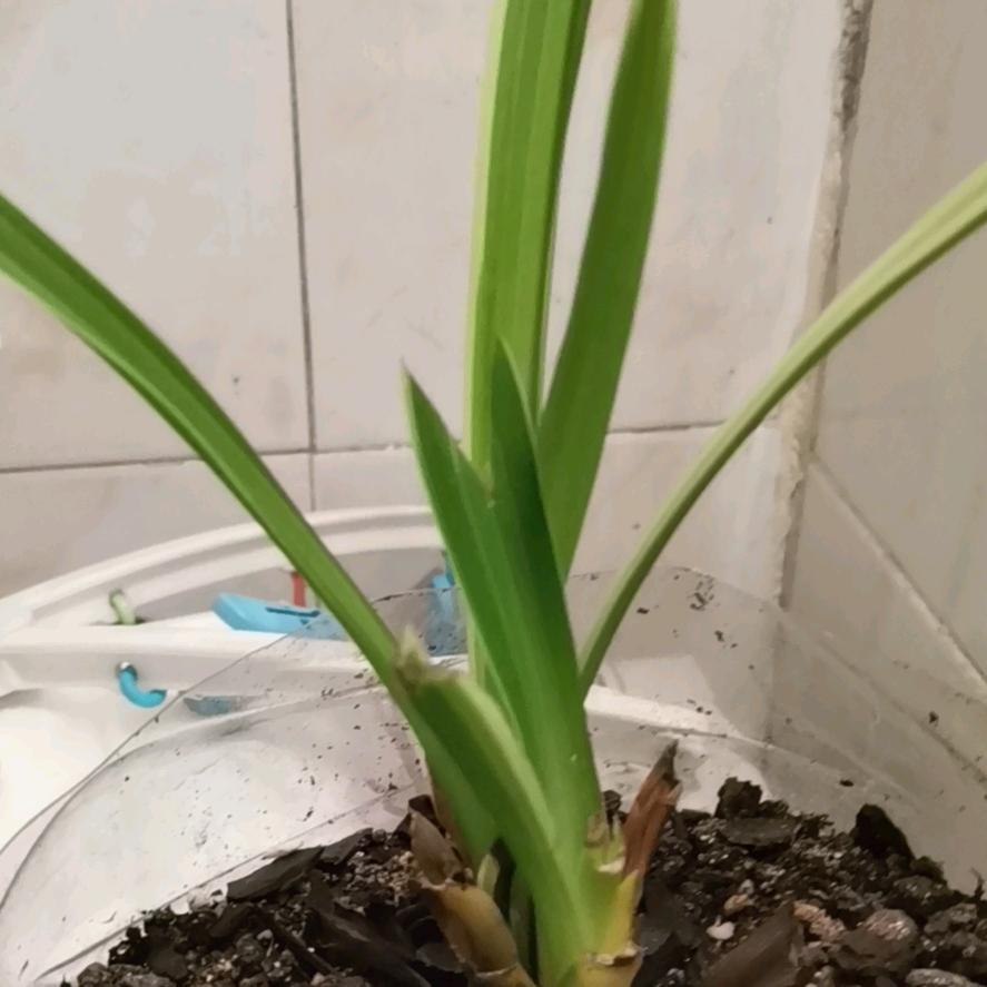 ………………！