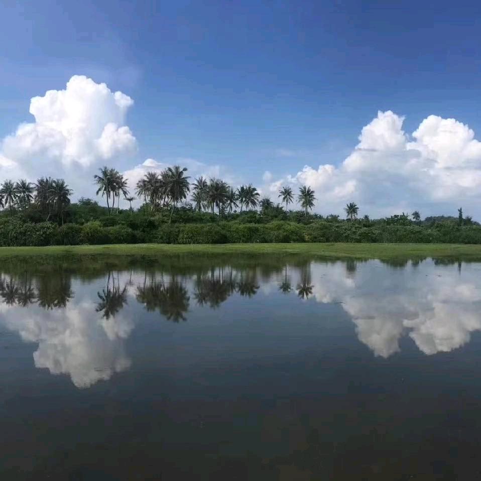 我可以抱你吗