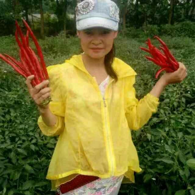 露露好菜