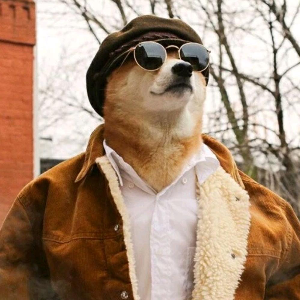 阿巴阿巴阿巴....