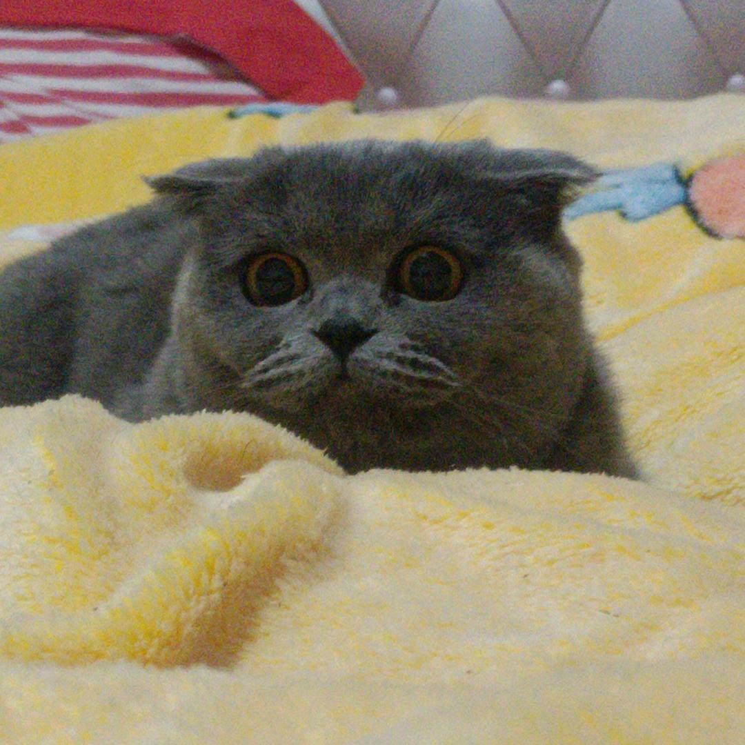 忐忑