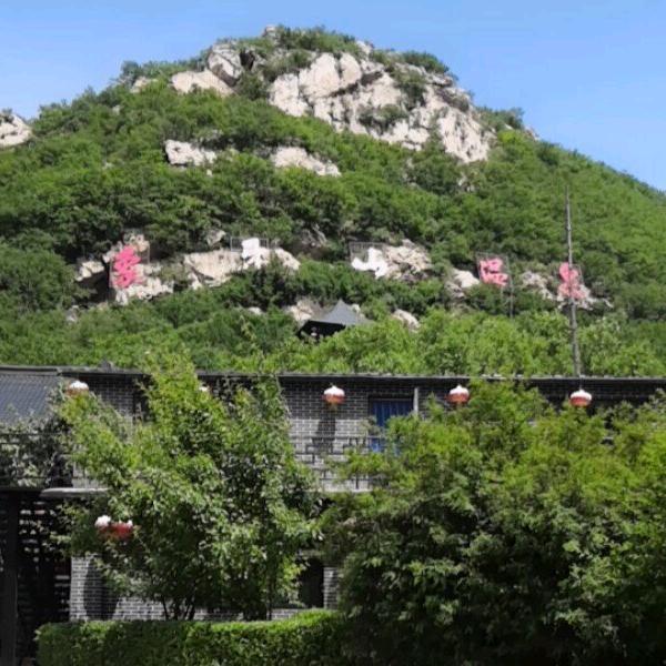 东哥xxx