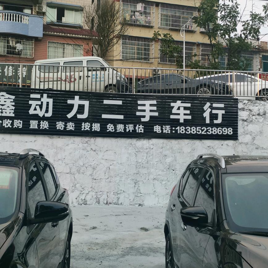 习水鑫动力二手车《皮哥》