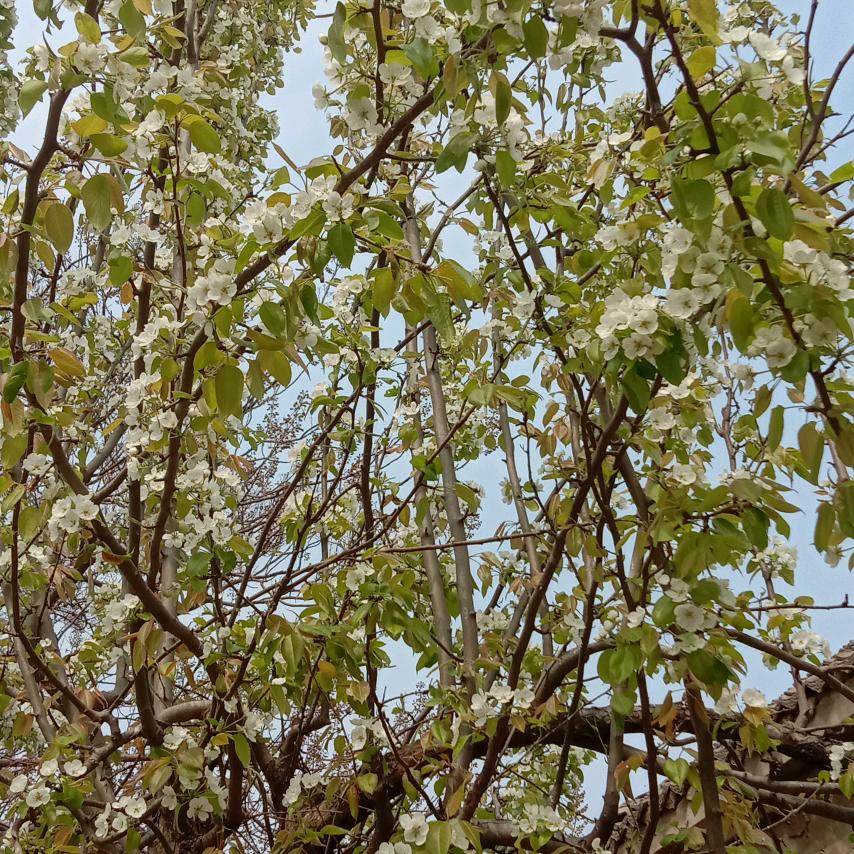 @龙凤