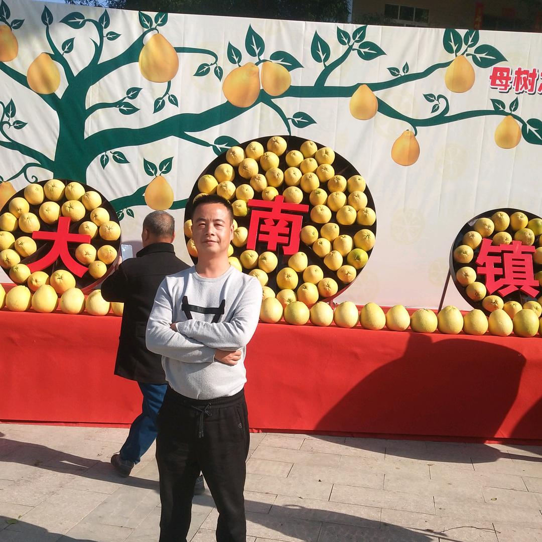 上饶乐嘉马家柚苗木基地