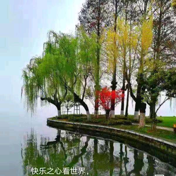 小吴