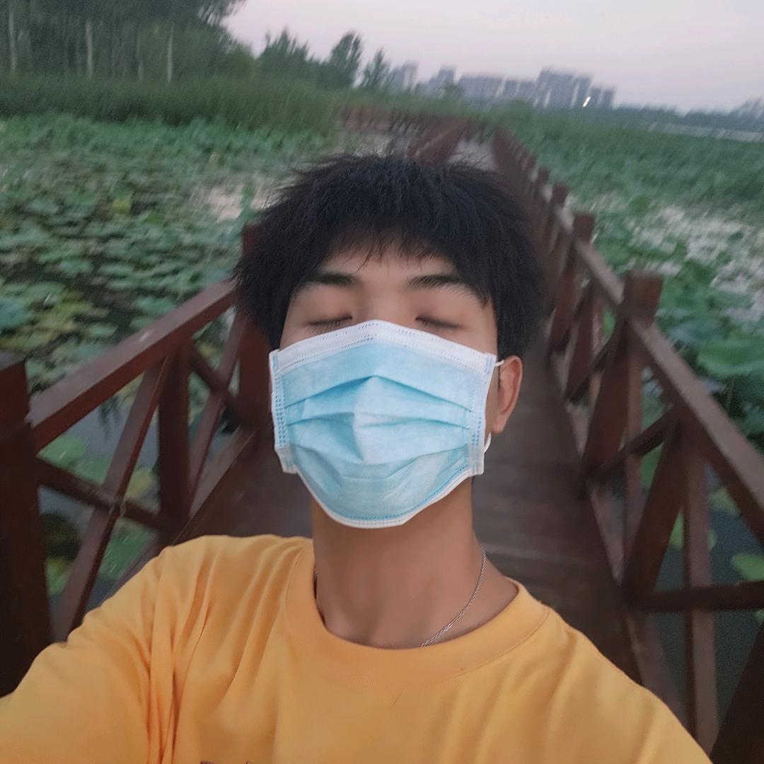不拆家的哈士奇