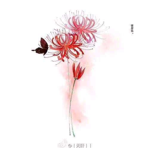 过້໌ᮨ往͡ꦿ໌້