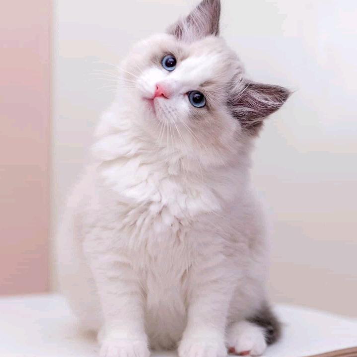 于家寨福源流动饭店