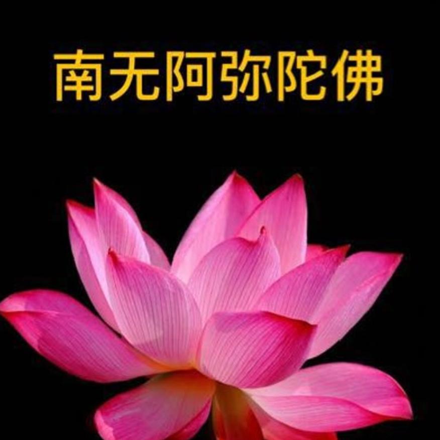欢喜随缘