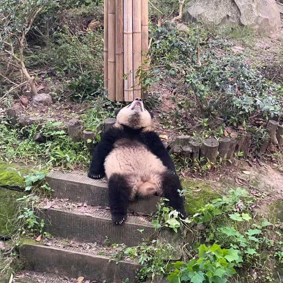无事小神仙。