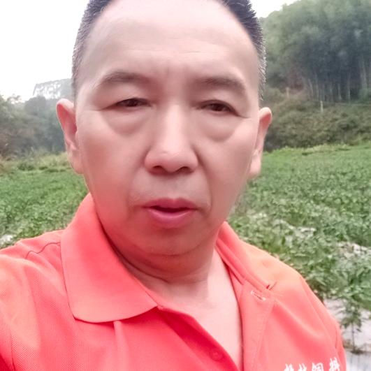 农人七叔【涅槃重生】