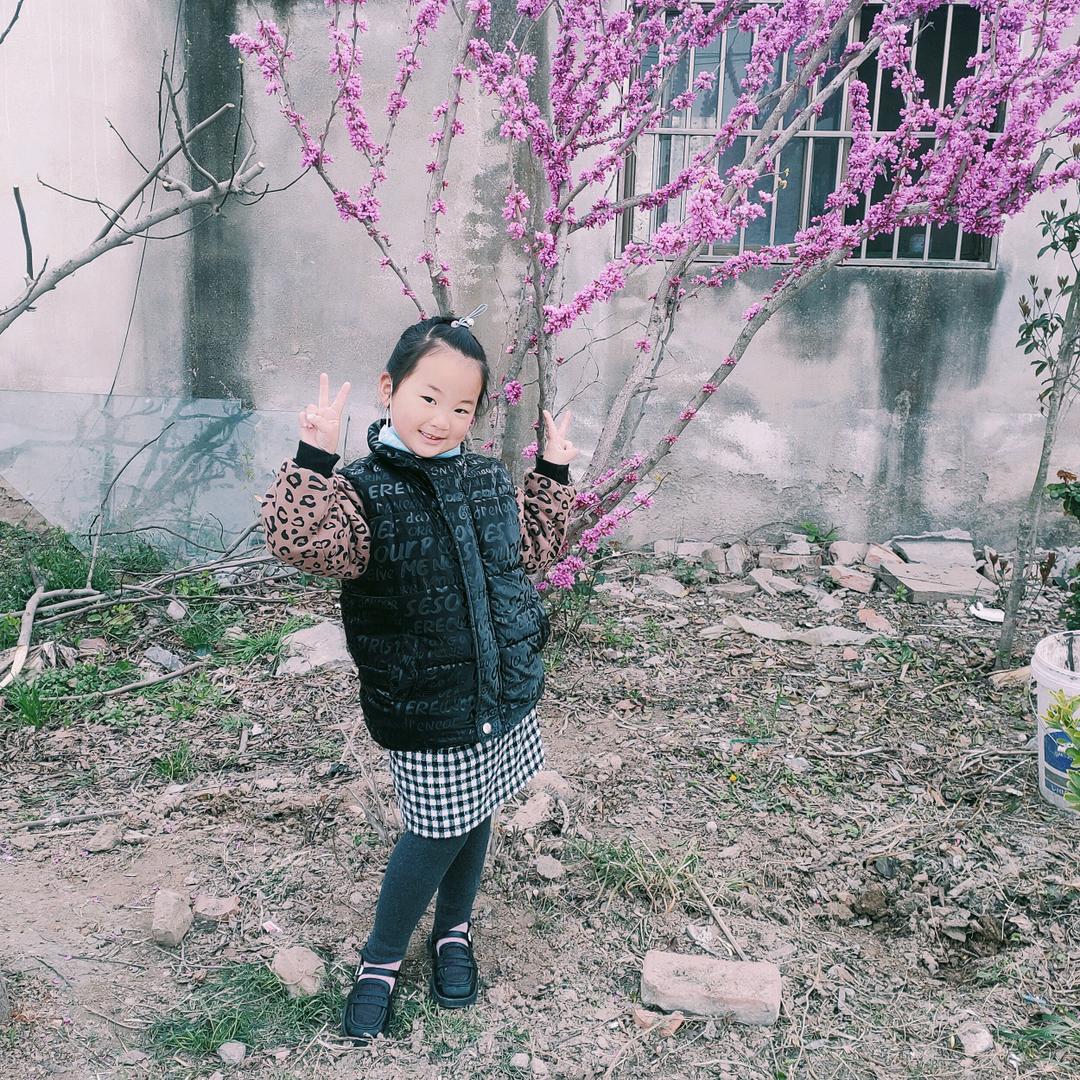 欧派电车阿毛车行