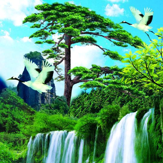 中、高考数学压轴题解忧