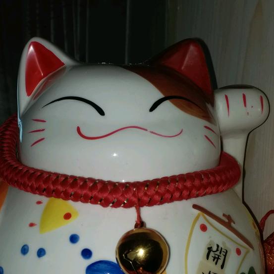 老崽儿阿伟