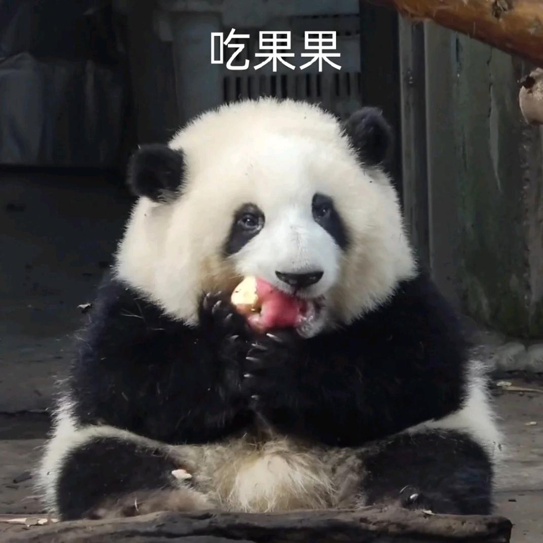 阿芸儿鸭头像