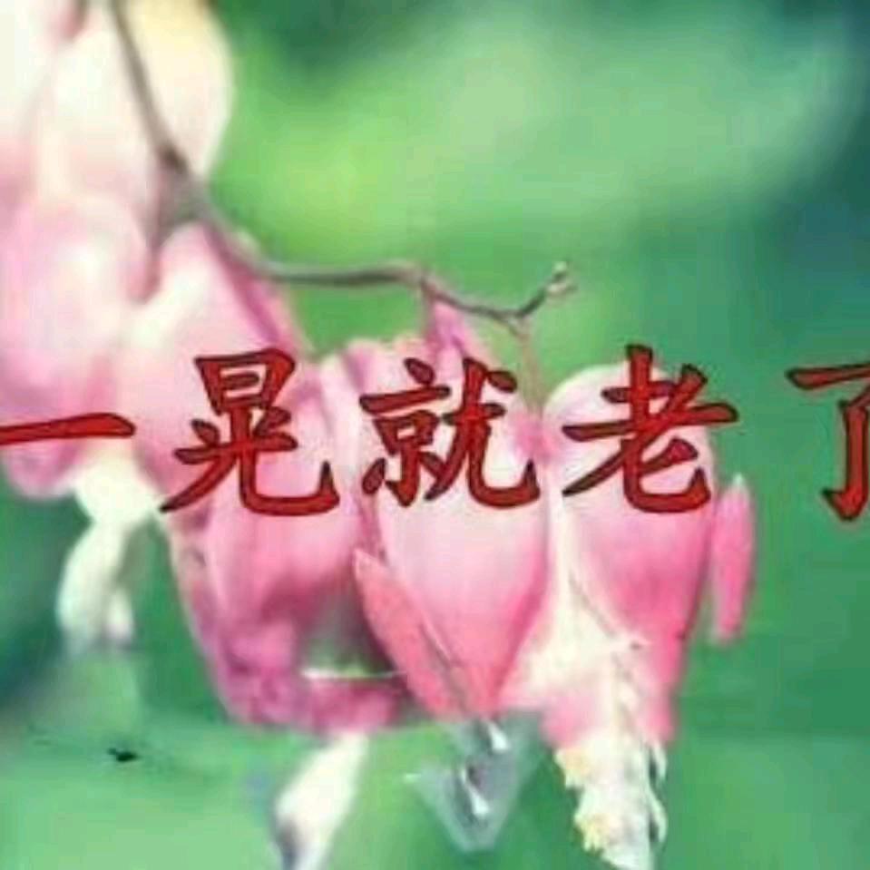 顾二
