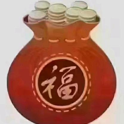 当家的女人