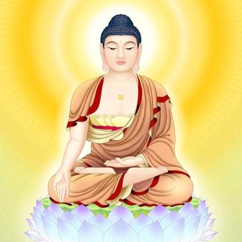 长生不老？ 长生不死？