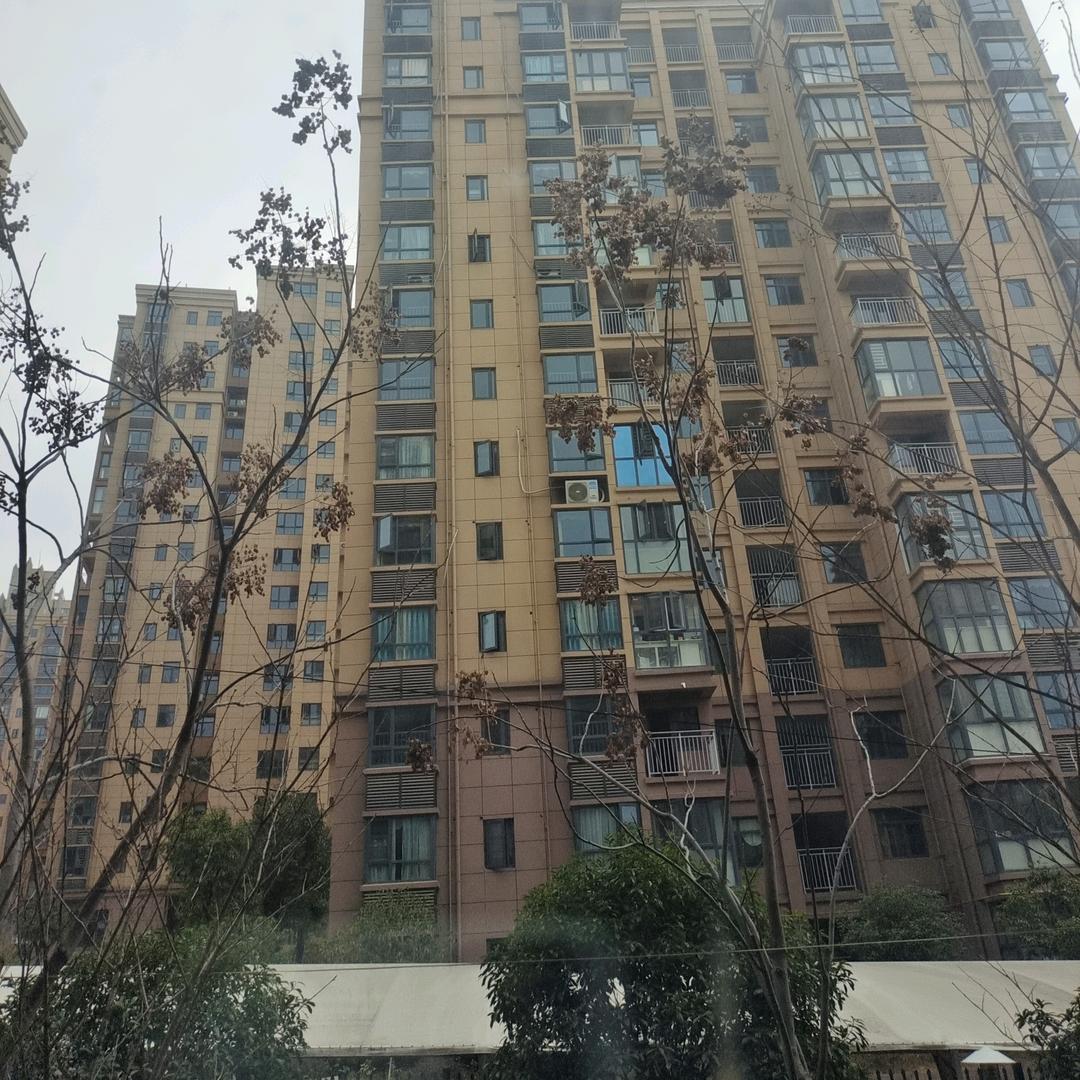 乾坤未定，你我皆为黑马