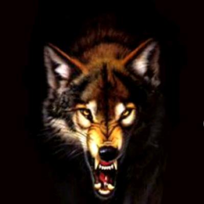 #静思文感@《黑山Du狼》