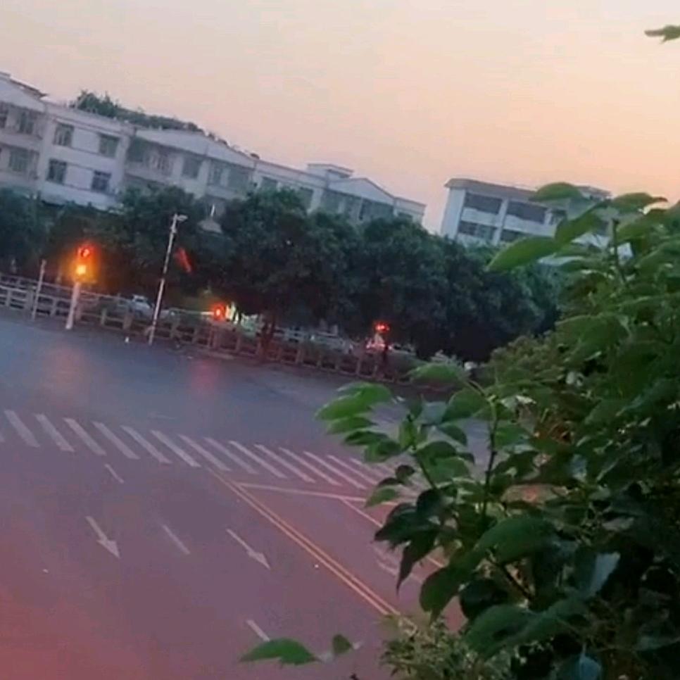 天天好运来